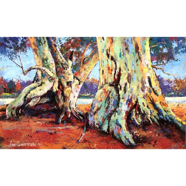 Gascoyne Gums